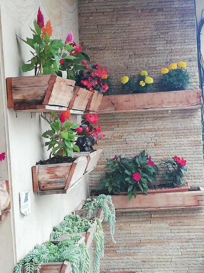 Hostal Casa Paraiso Медельїн Екстер'єр фото